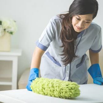 cleaner maid woman with duster cleaner using duster